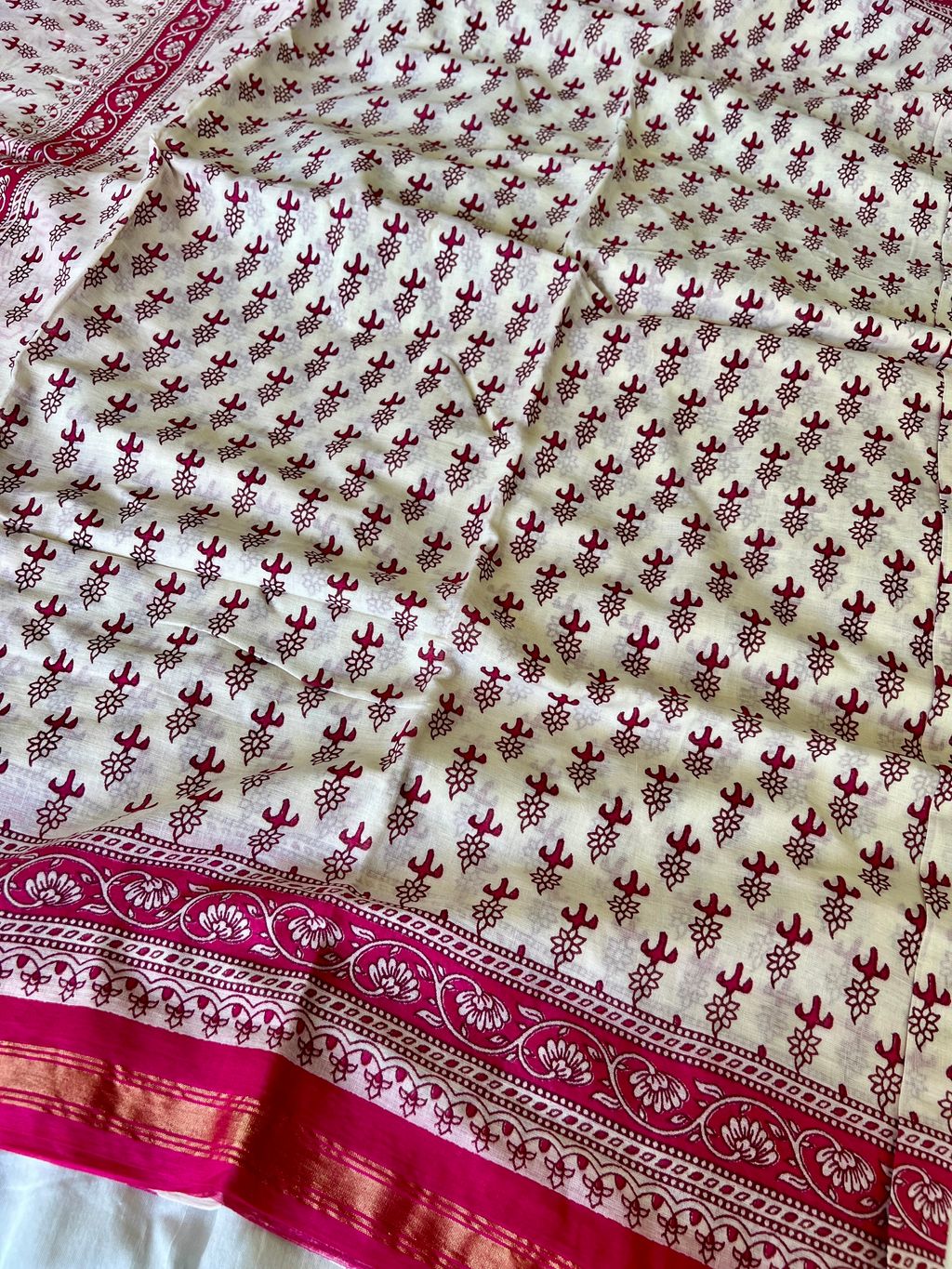 IMG_1895-1731296743592