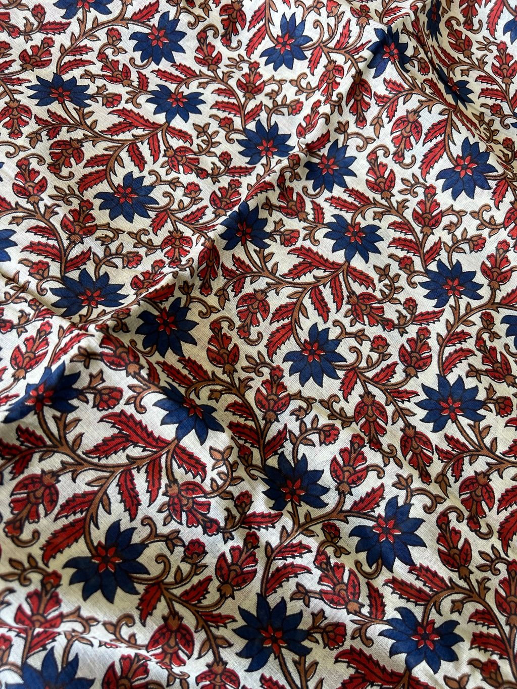 IMG_1866-1731301305019