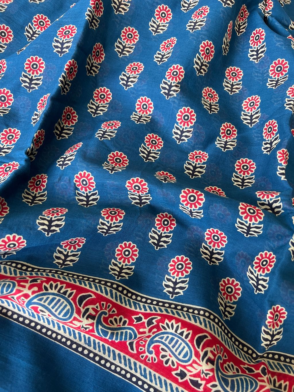 IMG_1983-1731385450909