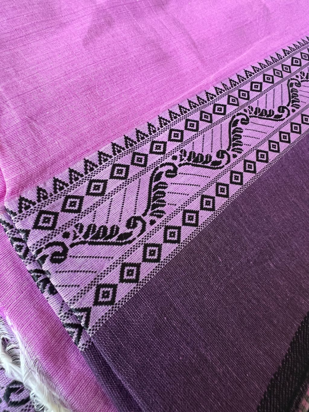 IMG_2181-1731548693653