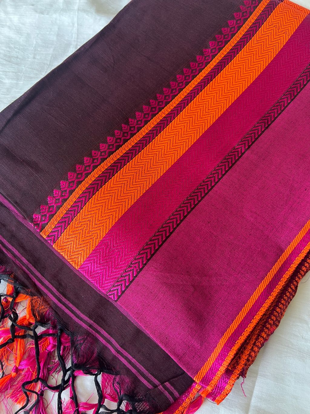 IMG_2193-1731548815802