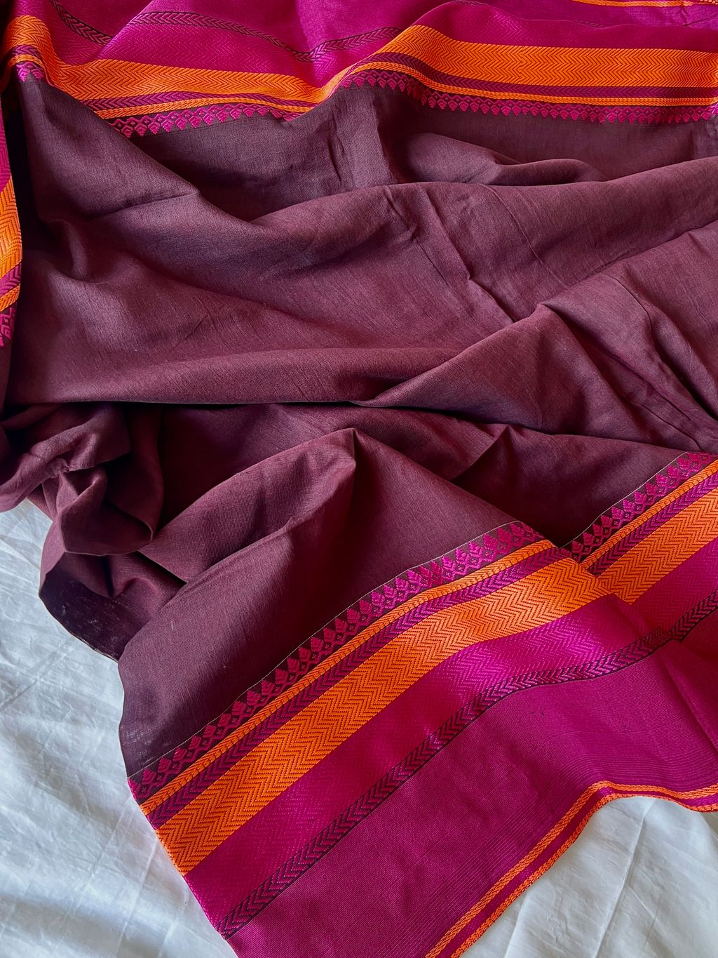 IMG_2196-1731548814269