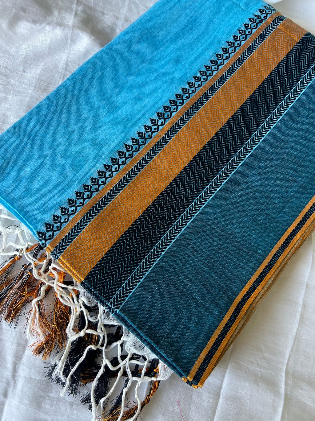 IMG_2202-1731548944160