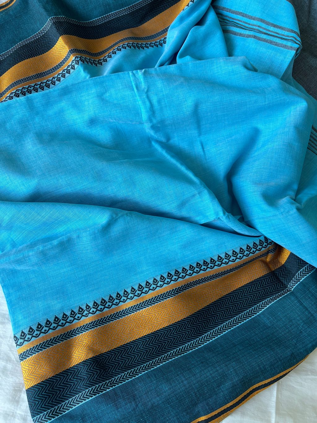 IMG_2204-1731548944165