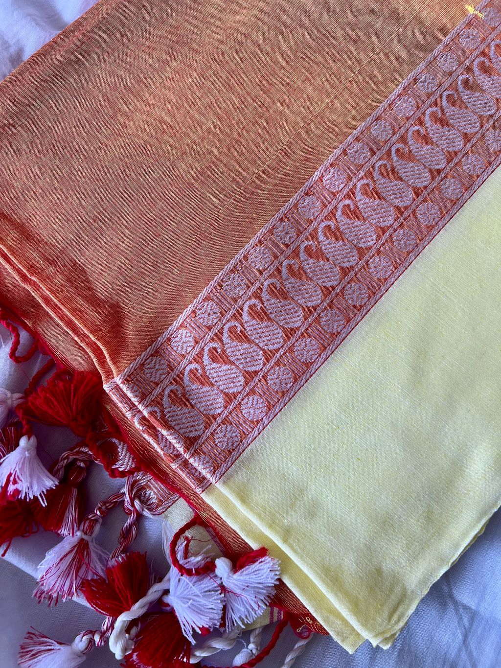 IMG_2208-1731549047571