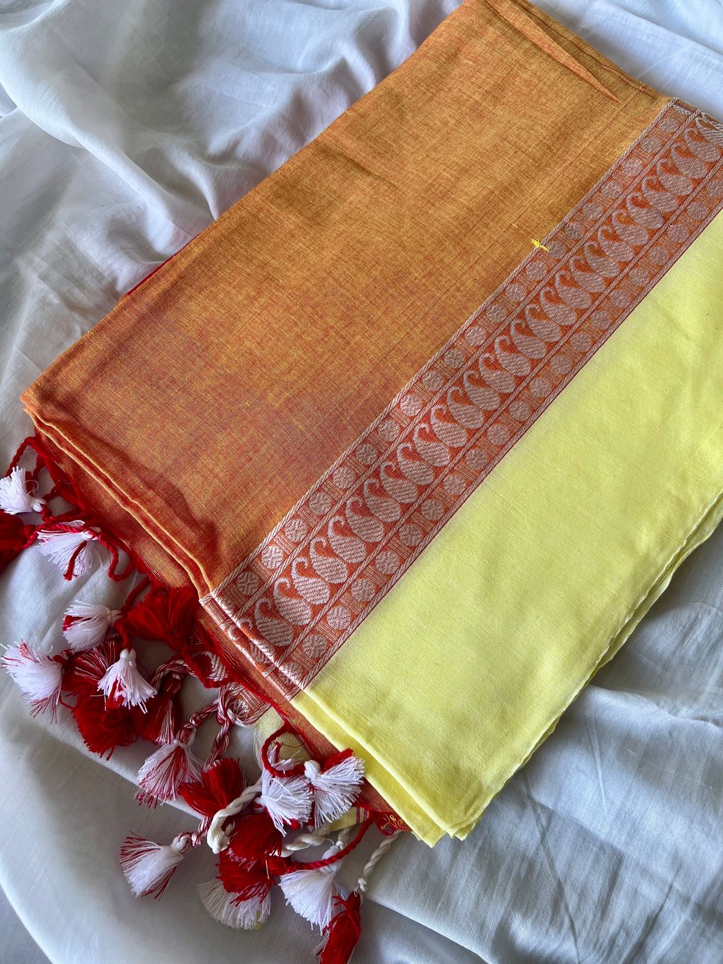 IMG_2209-1731549047575