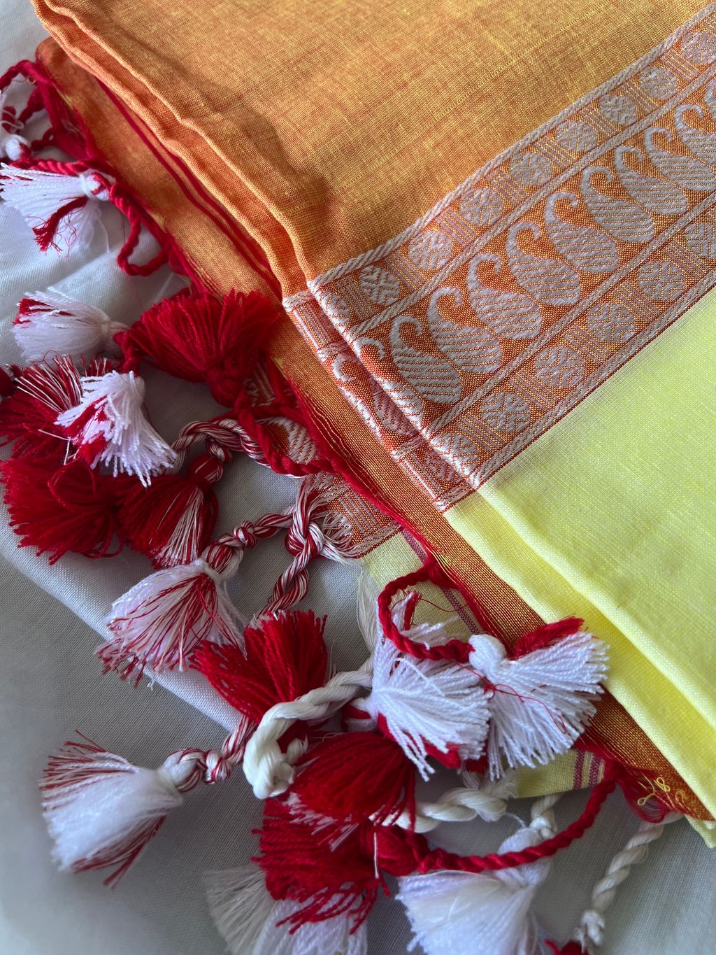 IMG_2210-1731549047566