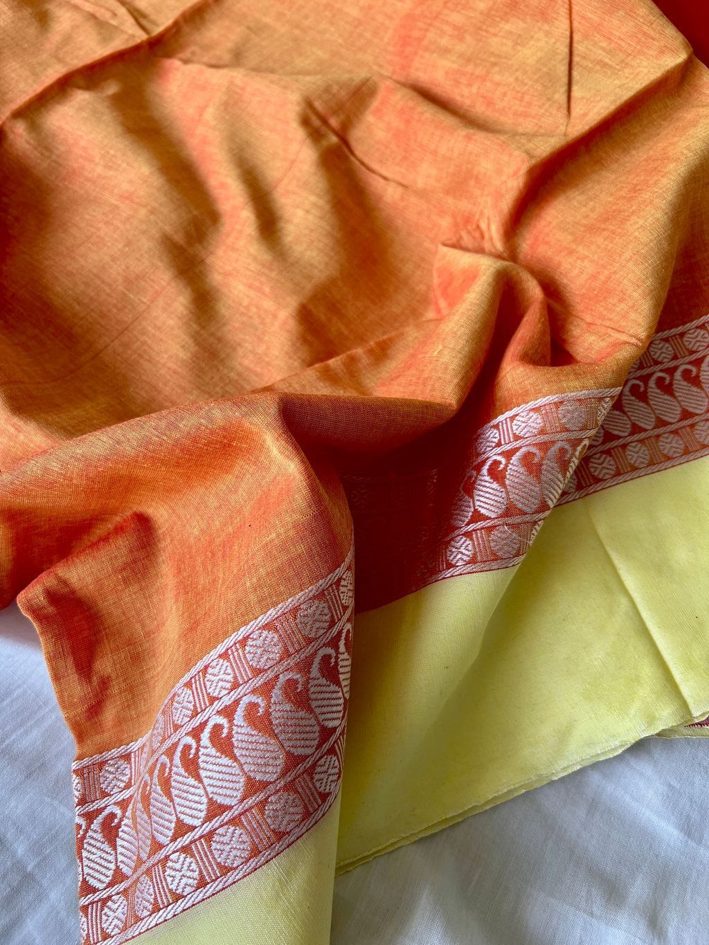 IMG_2218-1731549047578