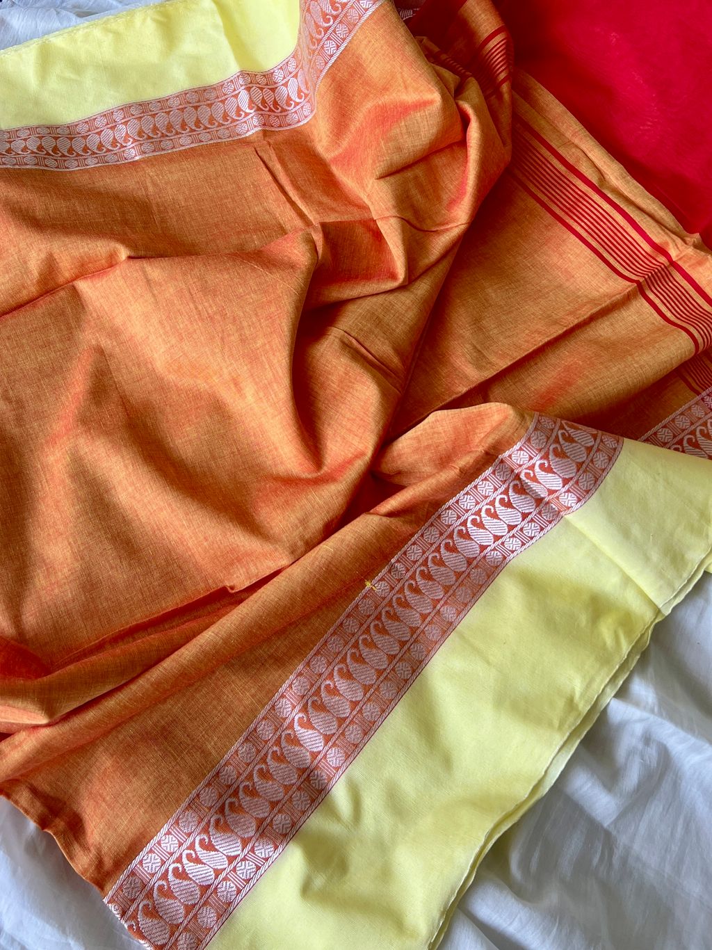 IMG_2213-1731549047559