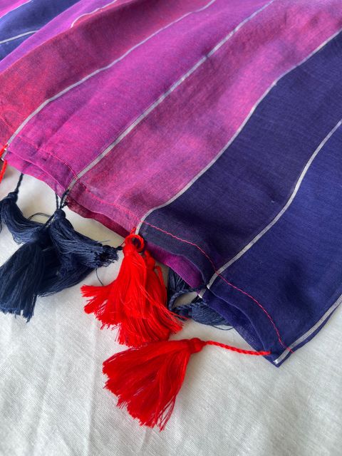 IMG_9895-1734249949035