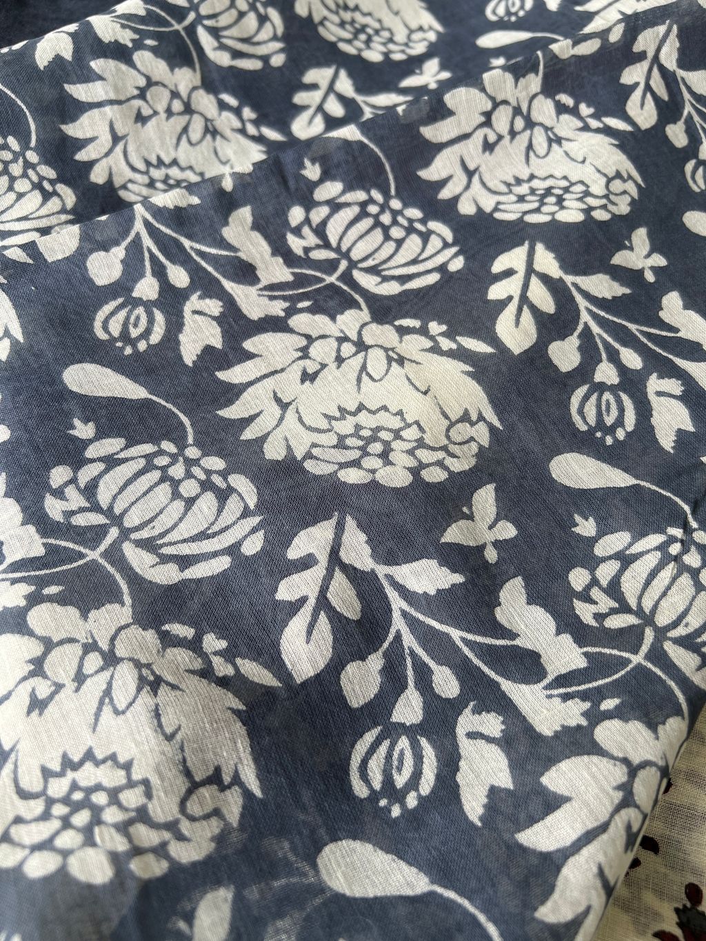 IMG_0064-1734406697546