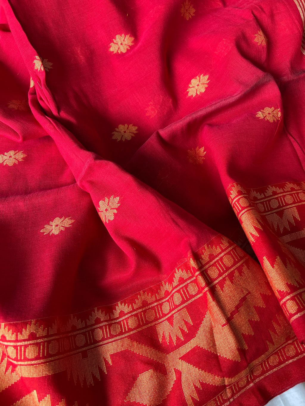 IMG_0113-1734415159911