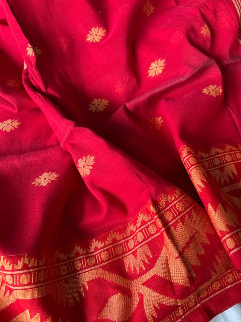 IMG_0113-1734415159911