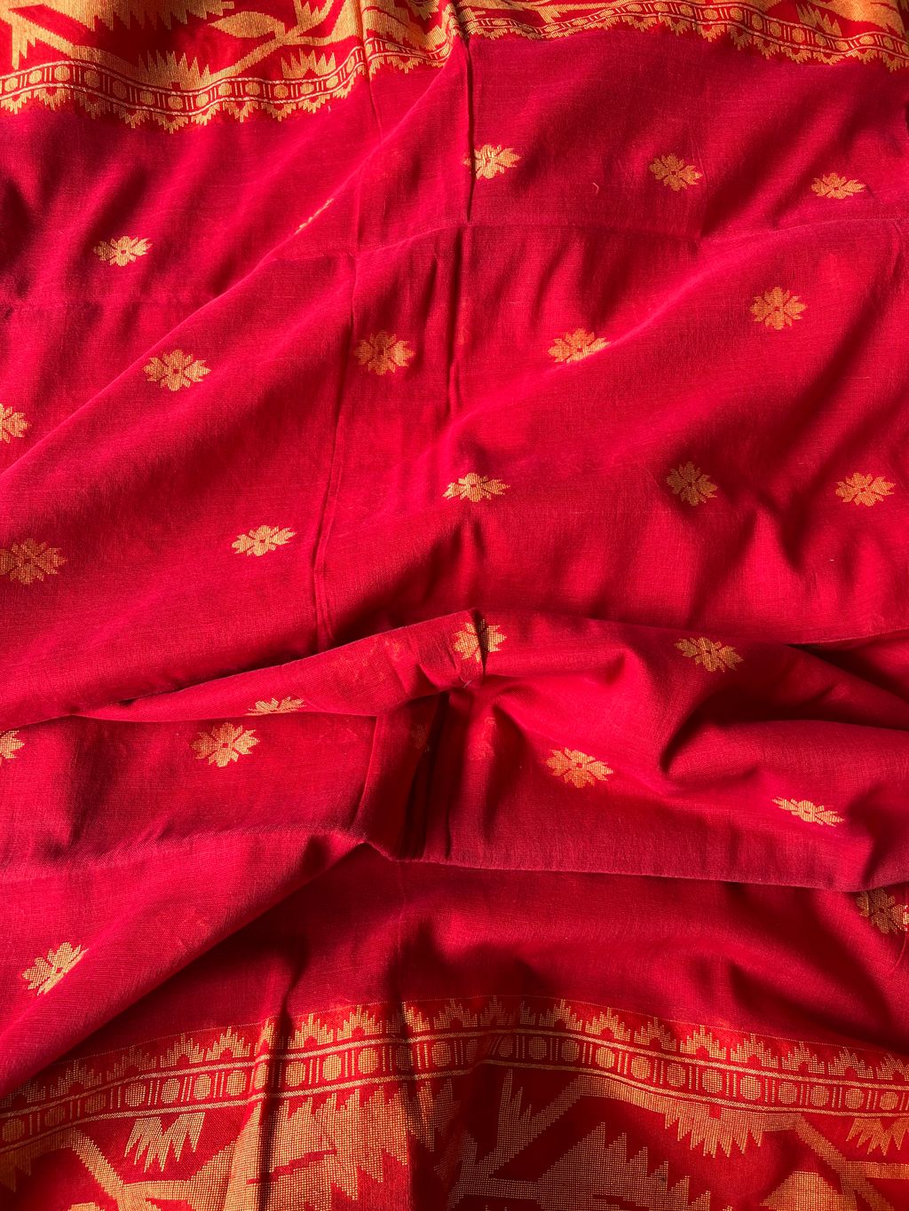 IMG_0115-1734415159918