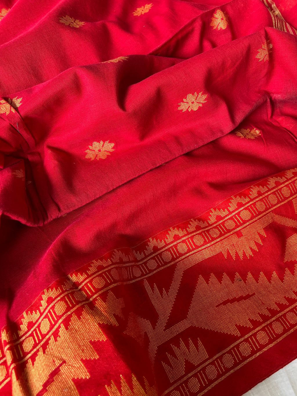 IMG_0116-1734415159922