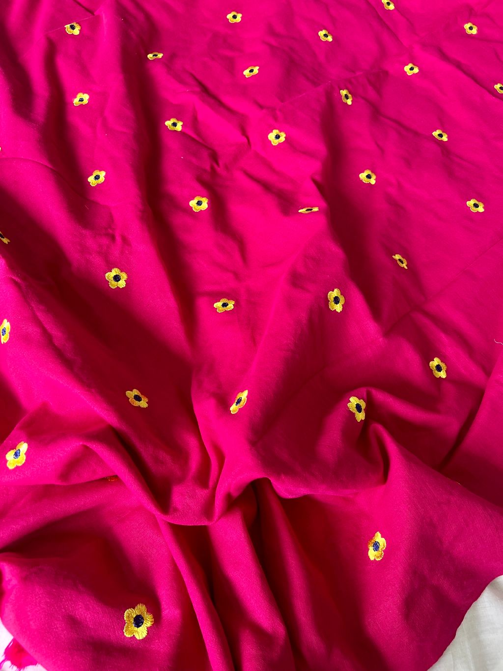 IMG_0268-1734582889106