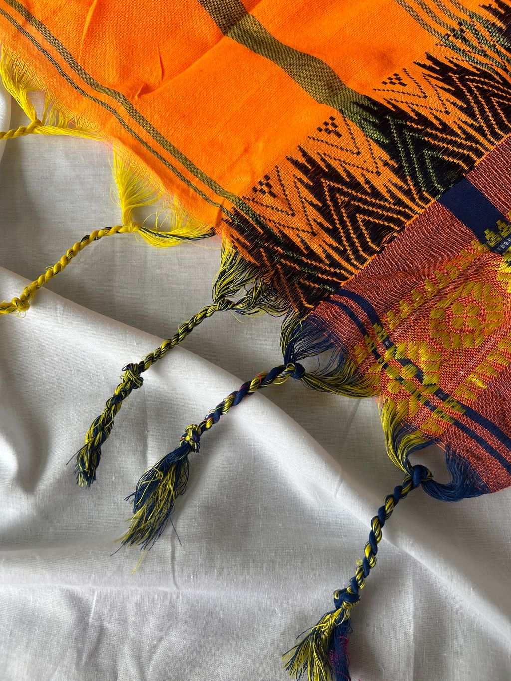 IMG_0293-1734583114746