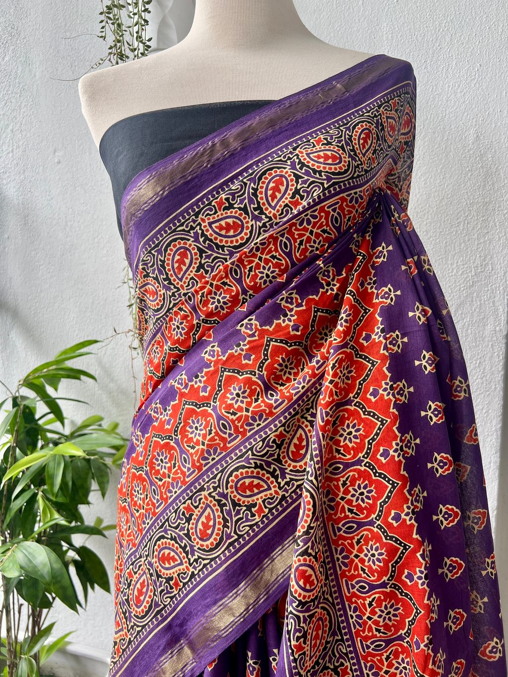 IMG_0264-1734583228798