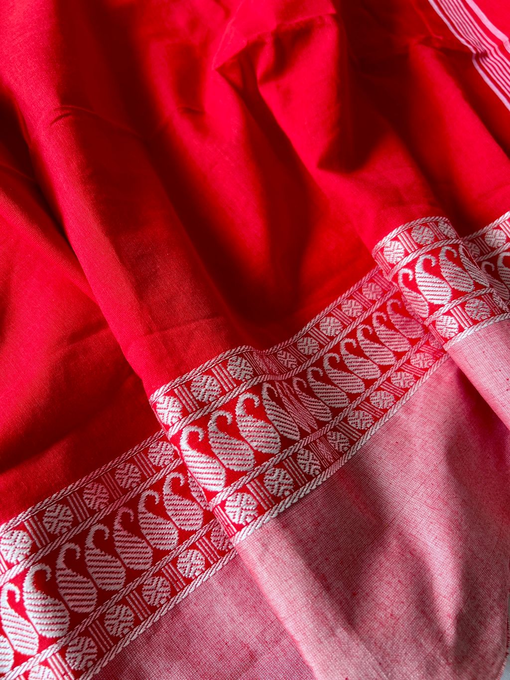 IMG_0995-1735531332887