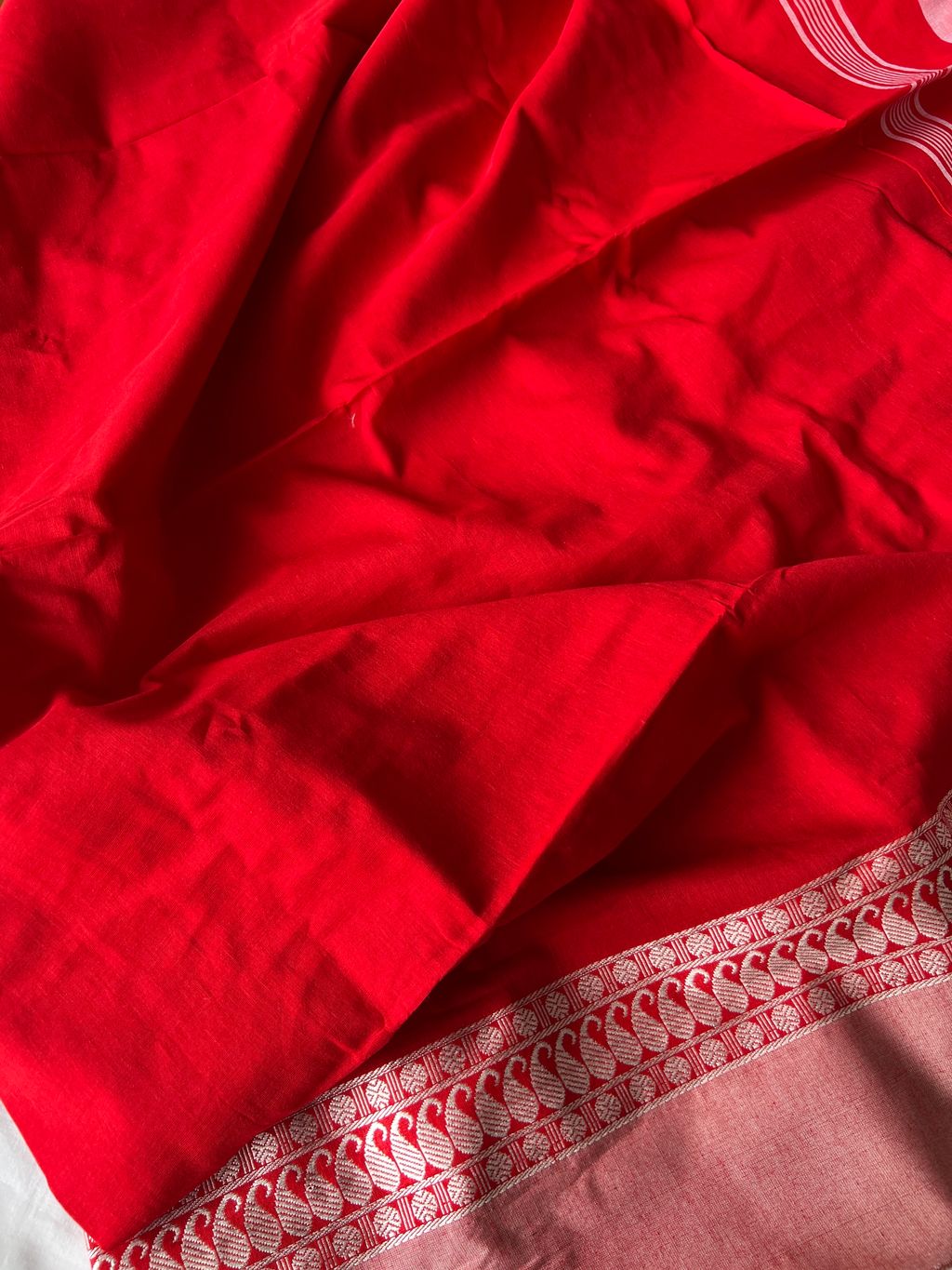 IMG_0990-1735531332879