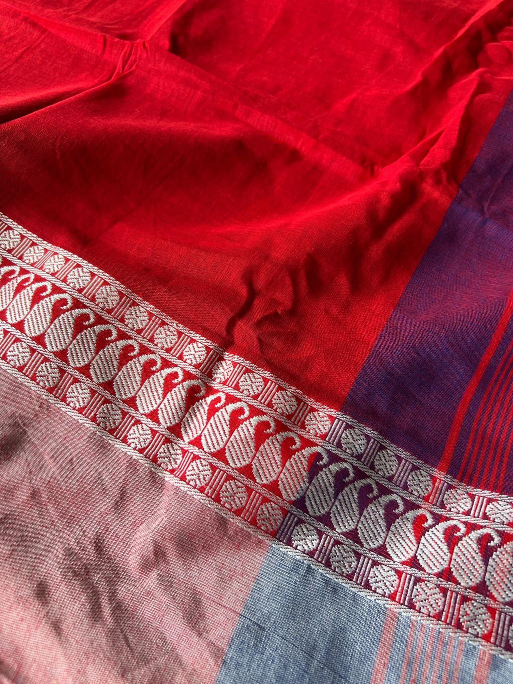 IMG_1013-1735531458235