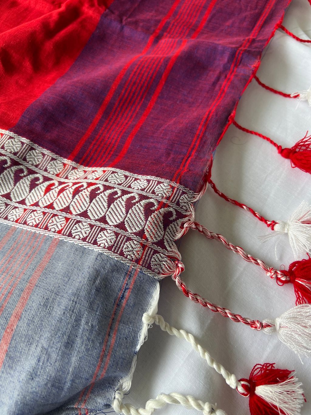 IMG_1012-1735531458247