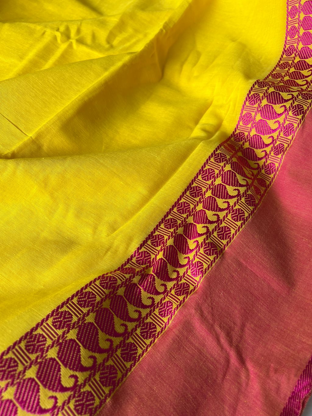 IMG_1019-1735531540300