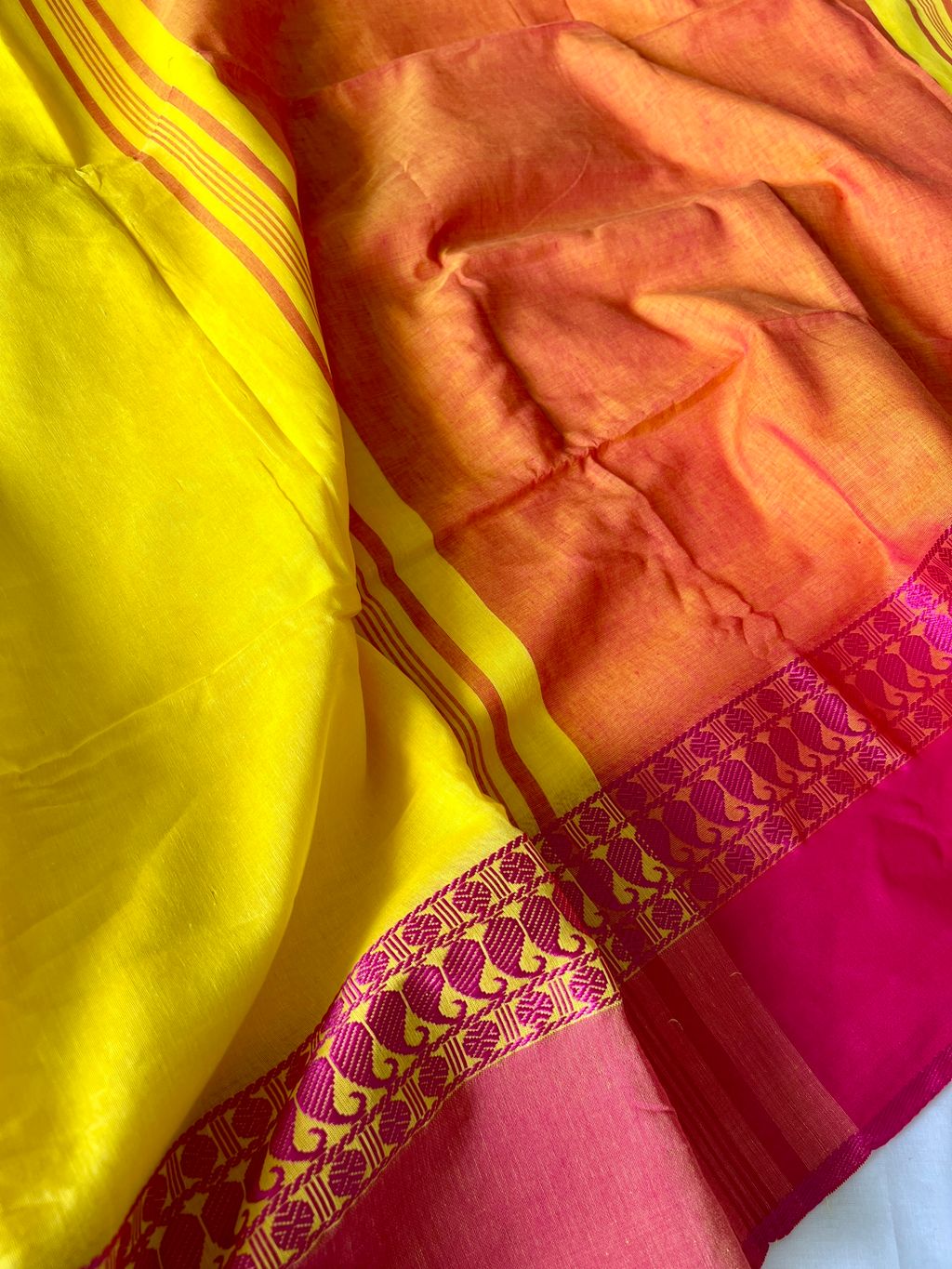 IMG_1022-1735531540315