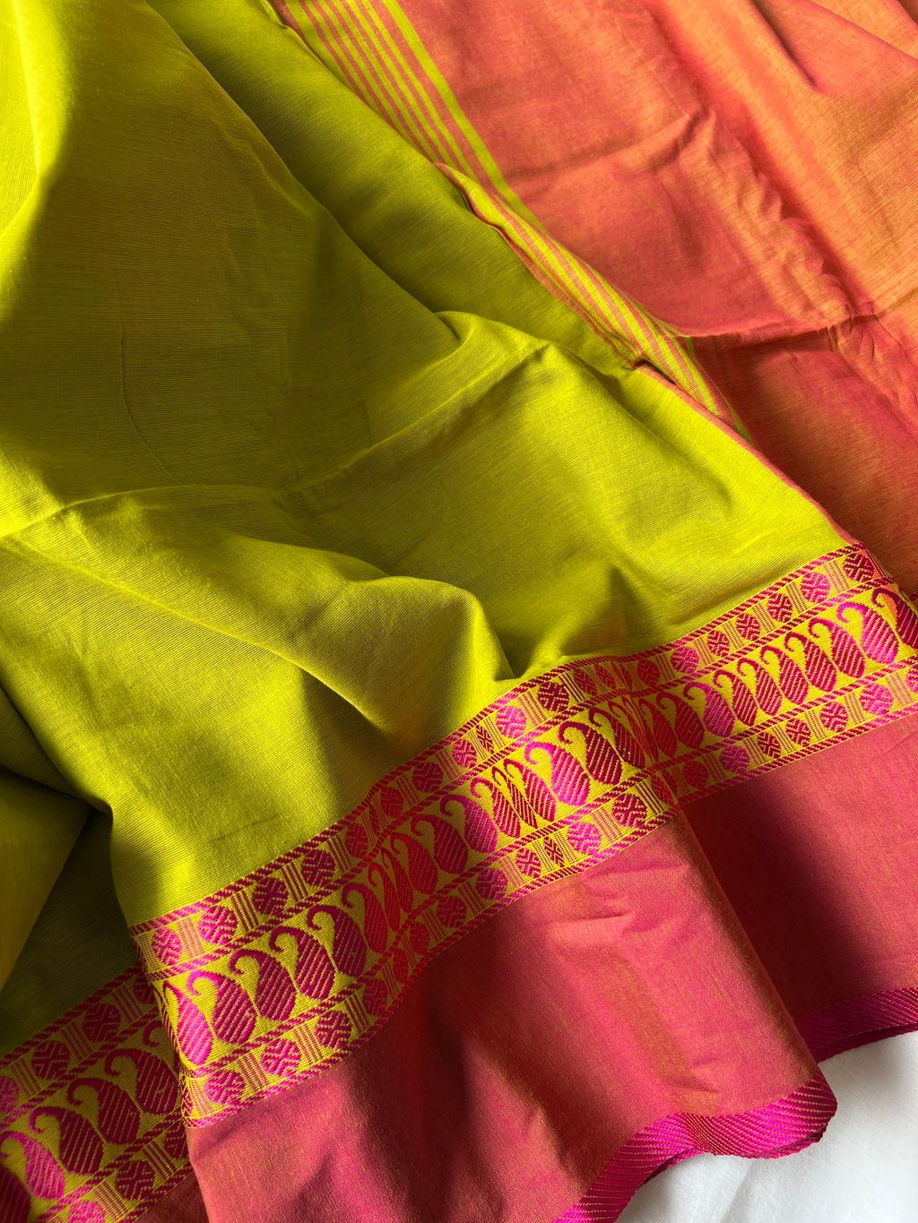 IMG_1038-1735531727357