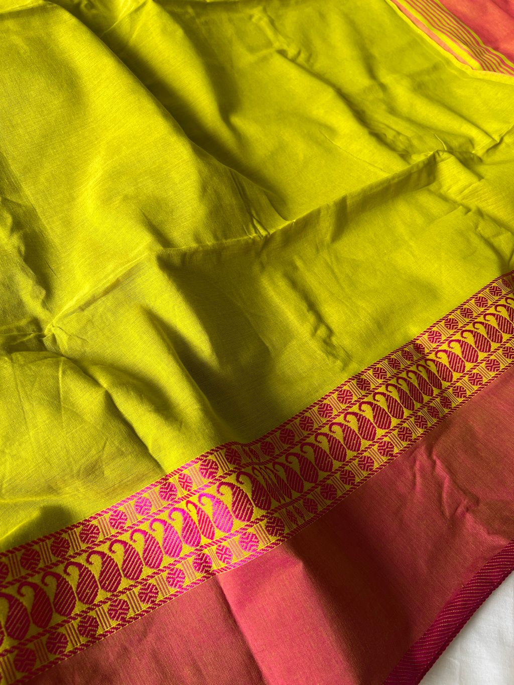 IMG_1034-1735531727350