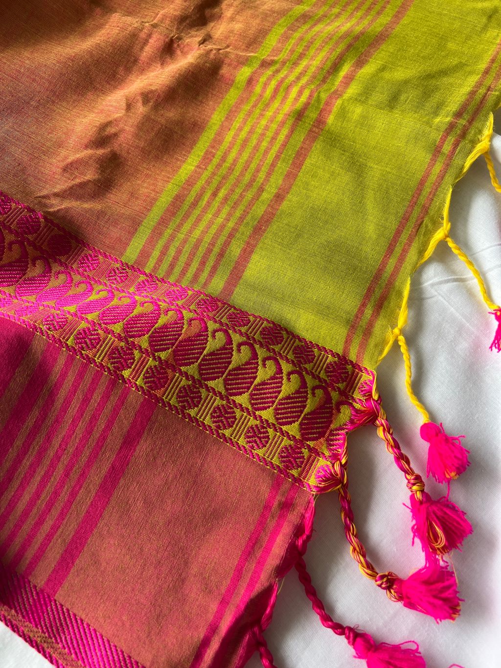 IMG_1037-1735531727371