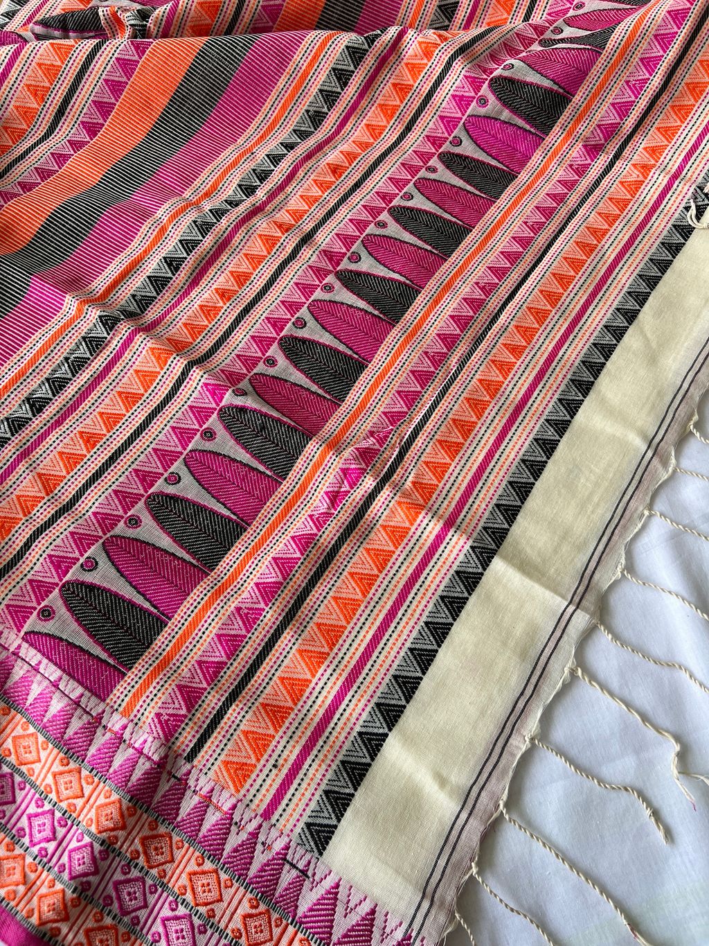 IMG_1423-1735789445830