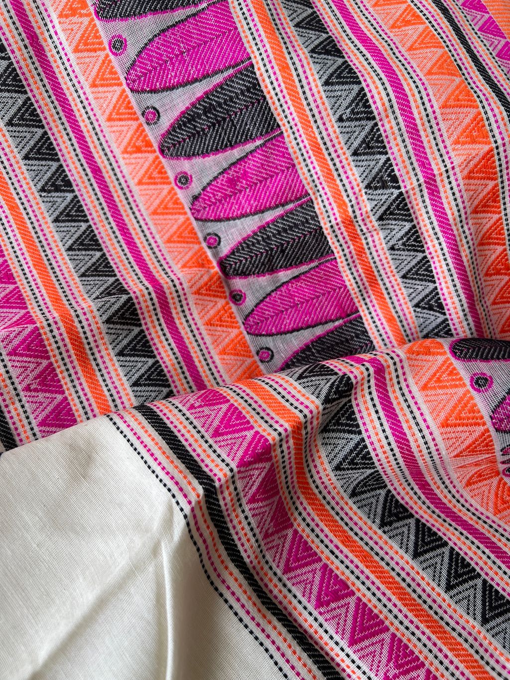 IMG_1427-1735789445838