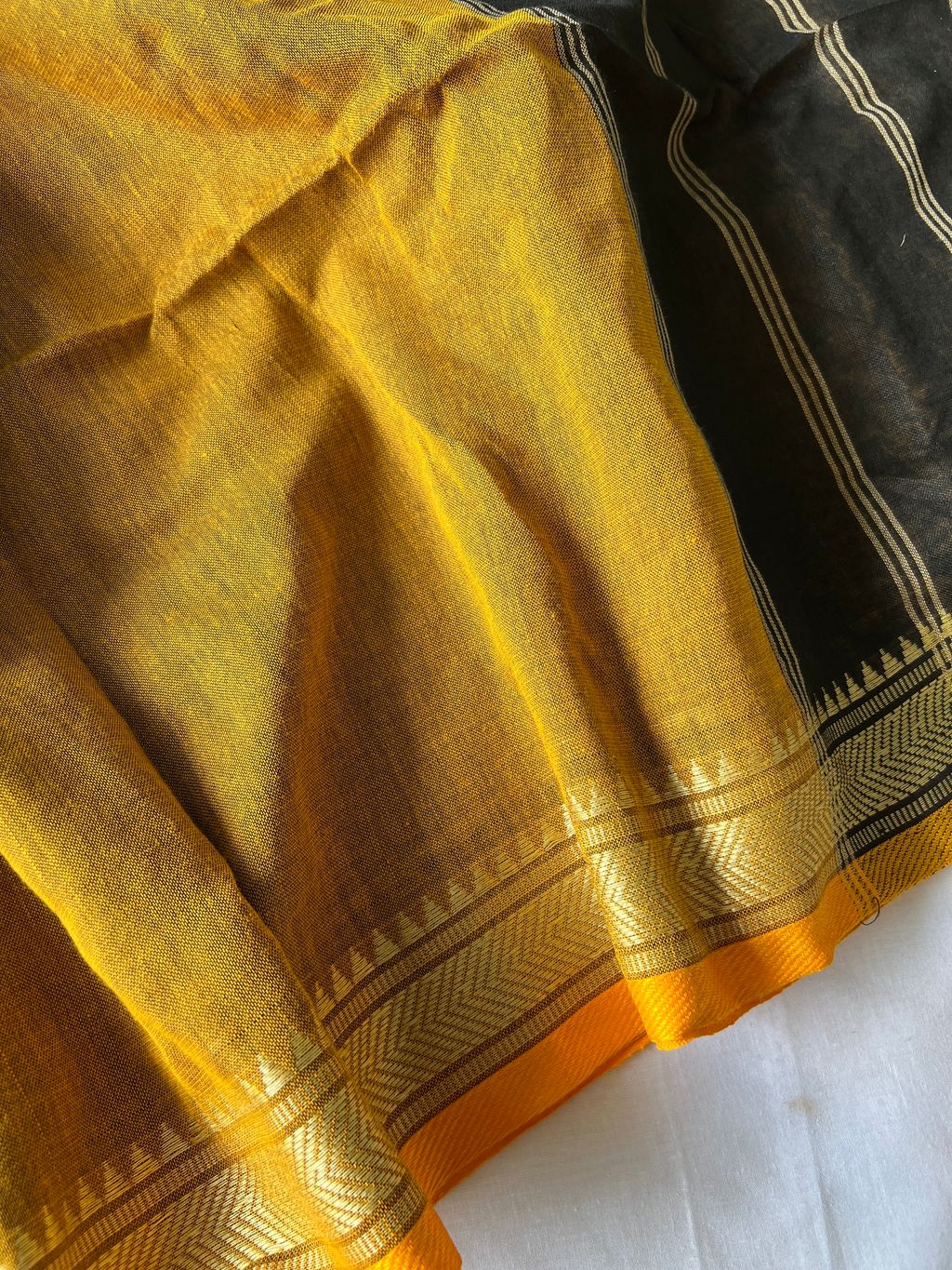 IMG_1518-1735876257896