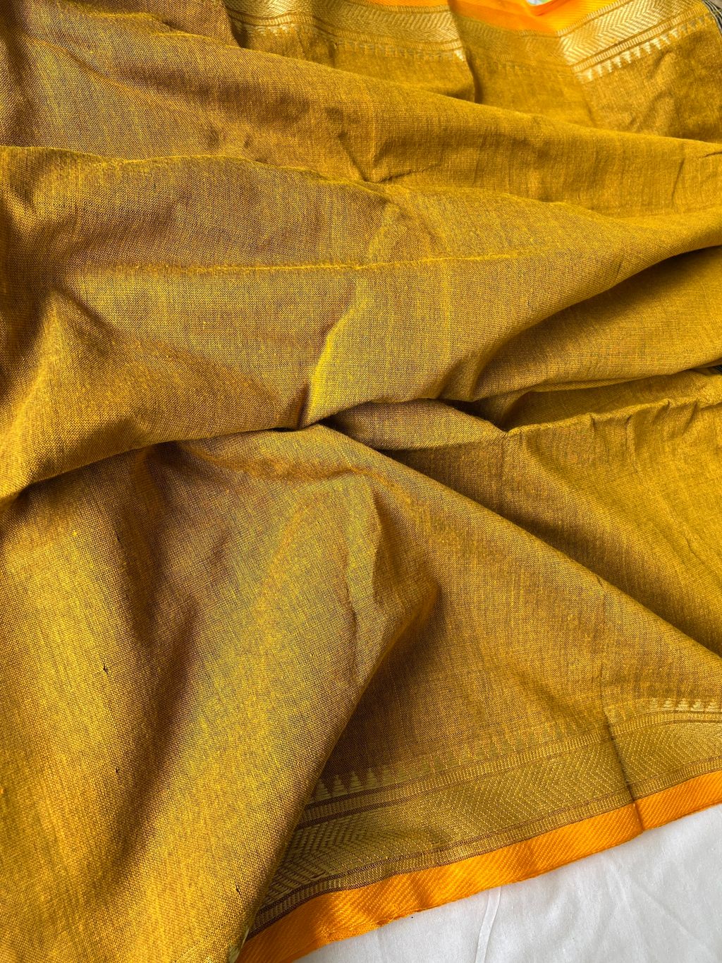 IMG_1519-1735876257888