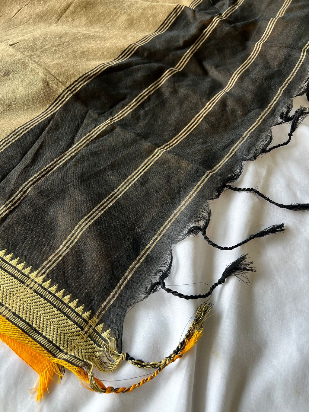 IMG_1521-1735876257907