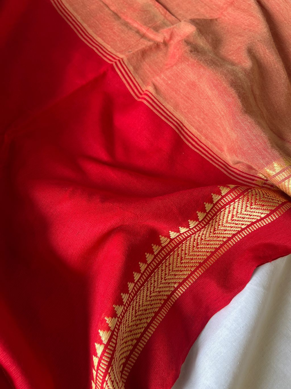 IMG_1507-1735876312854