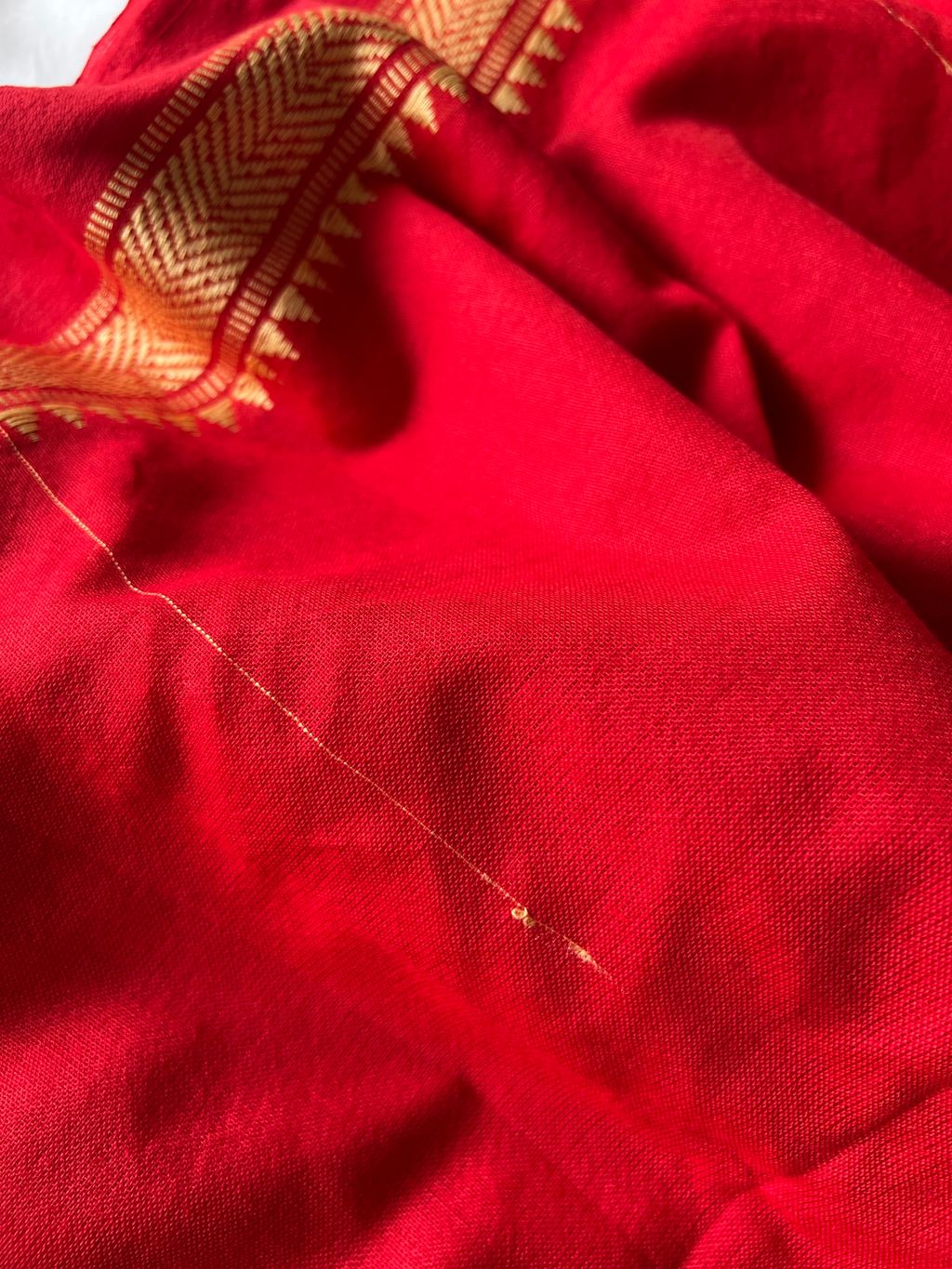 IMG_1515-1735876312885