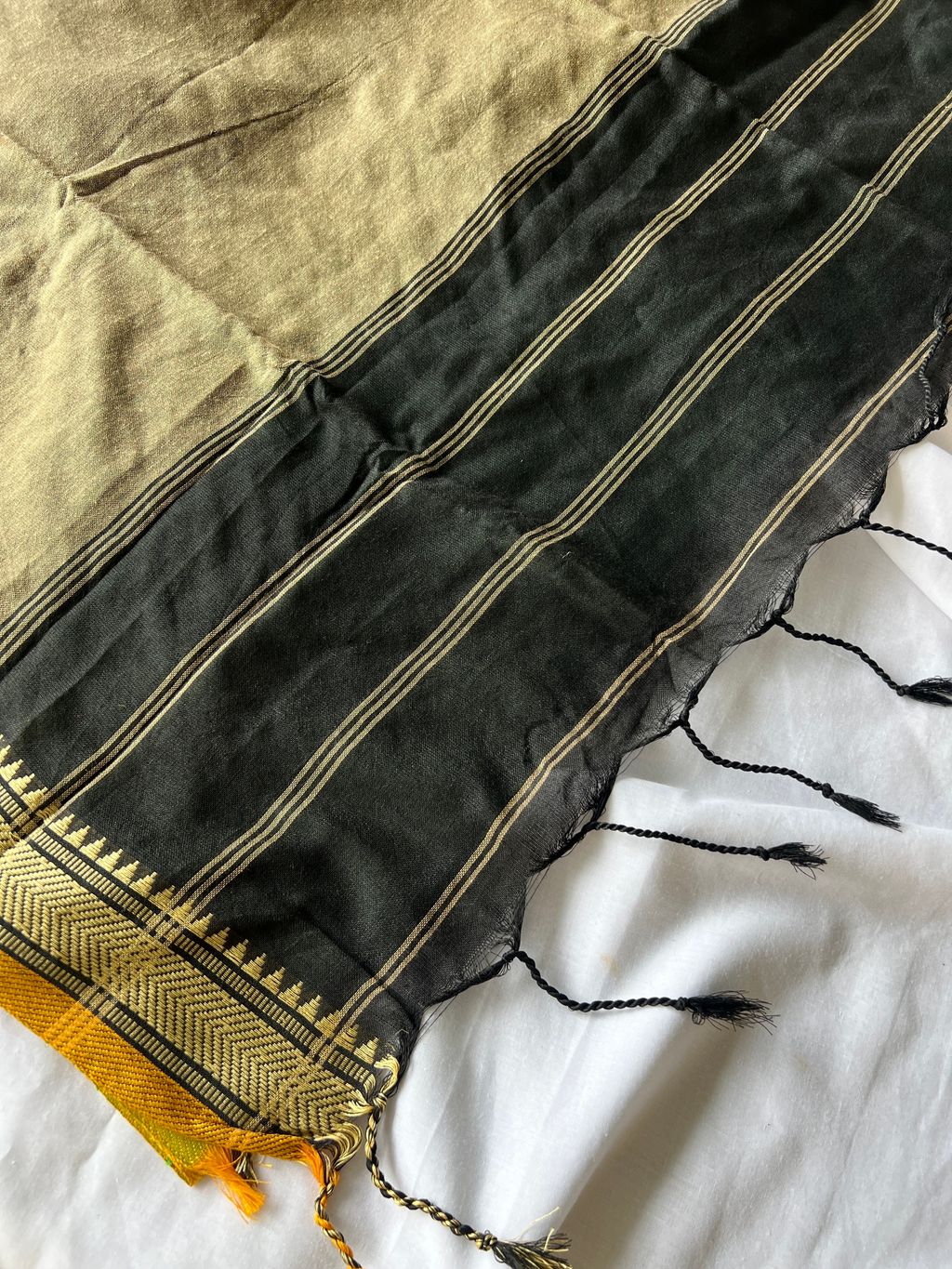 IMG_1503-1735876511474