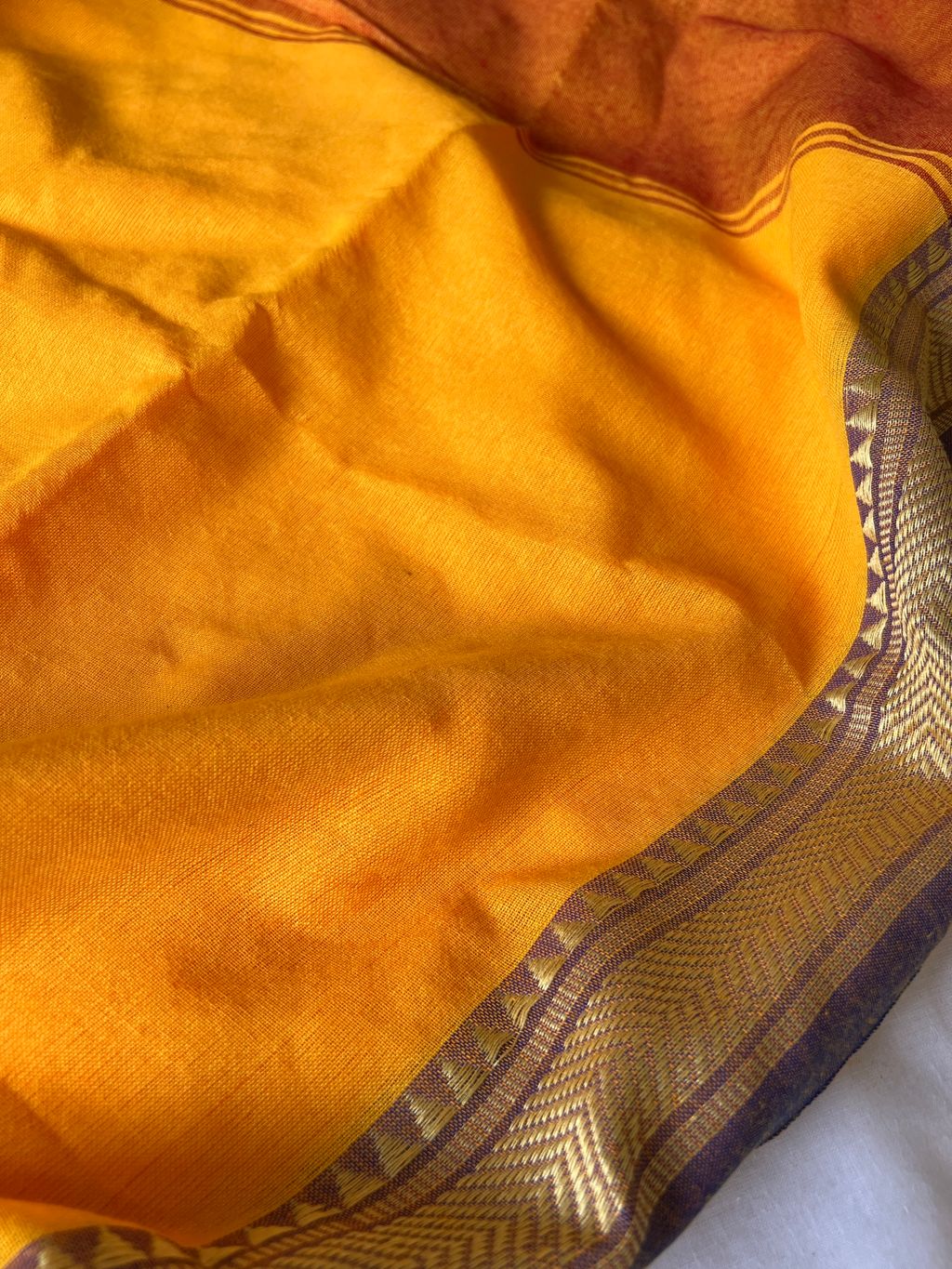 IMG_1482-1735876681538