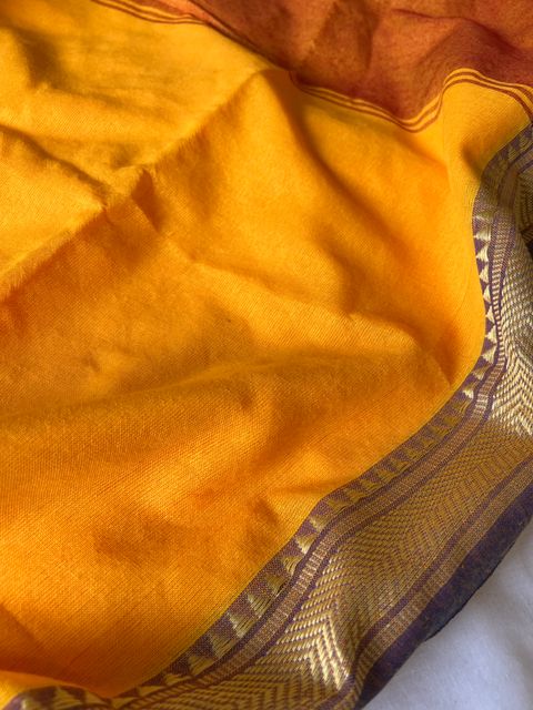 IMG_1482-1735876681538