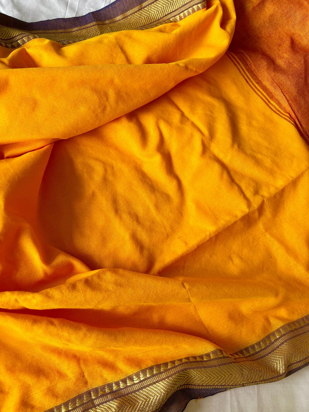 IMG_1481-1735876681536