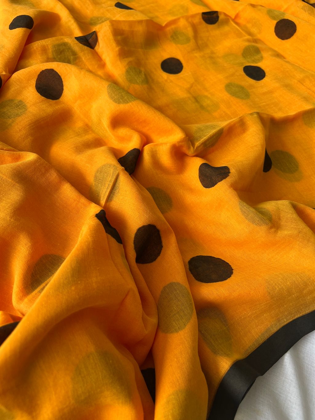 IMG_1902-1736228091324