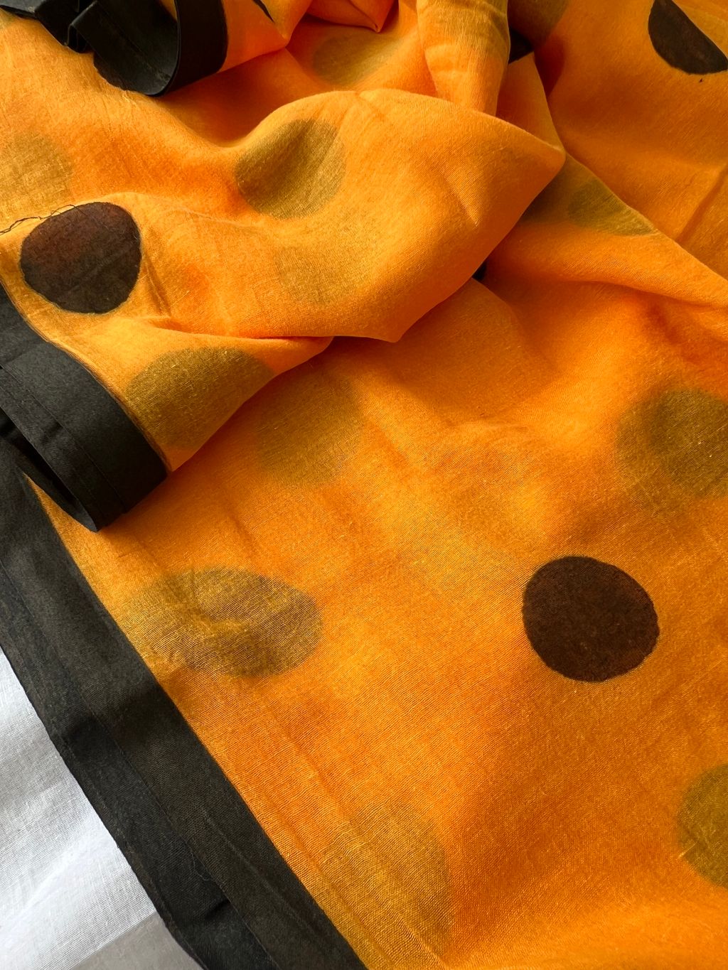 IMG_1901-1736228093746