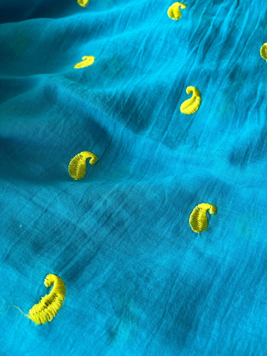 IMG_1932-1736311679039