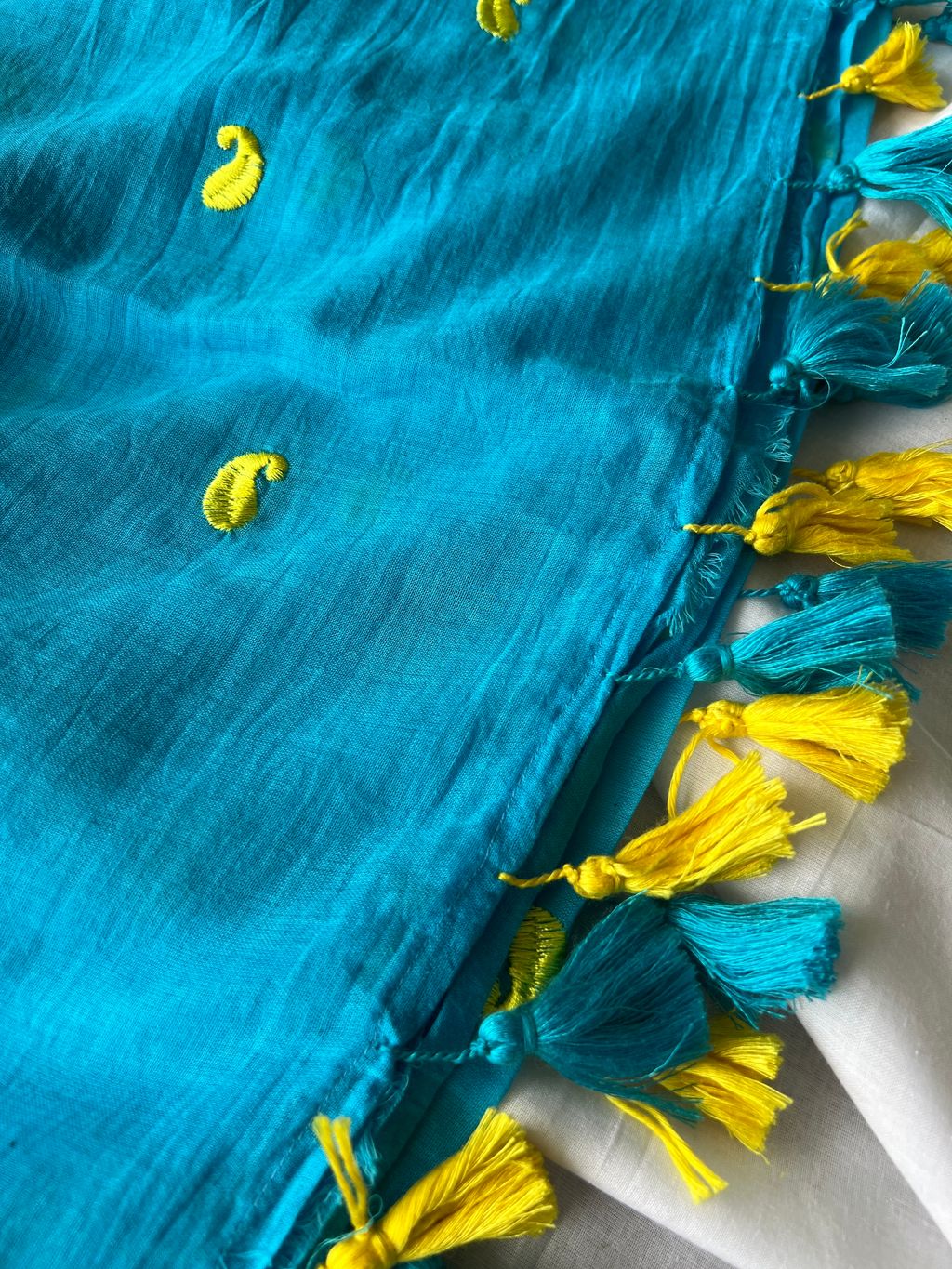 IMG_1931-1736311679056