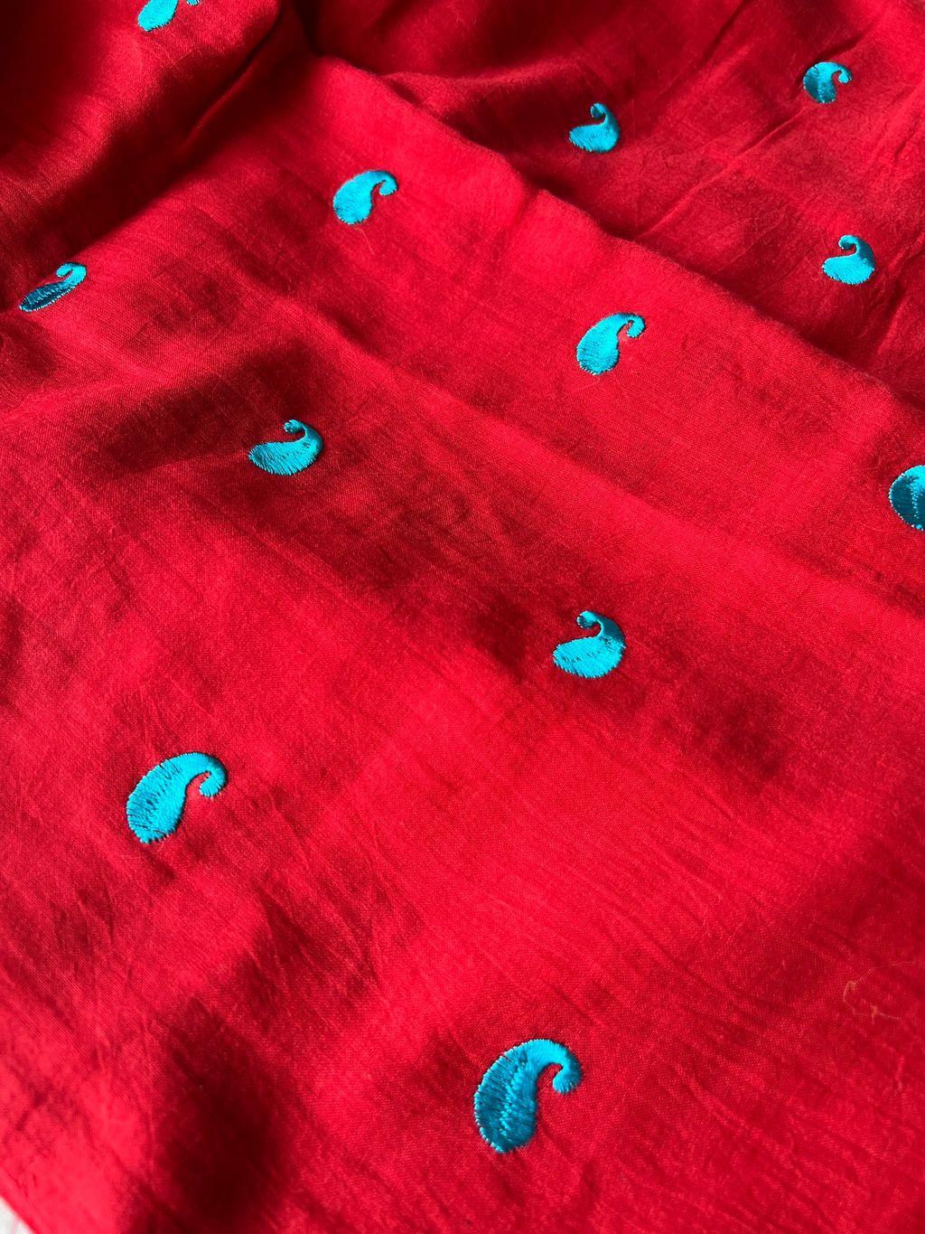 IMG_1937-1736311740170