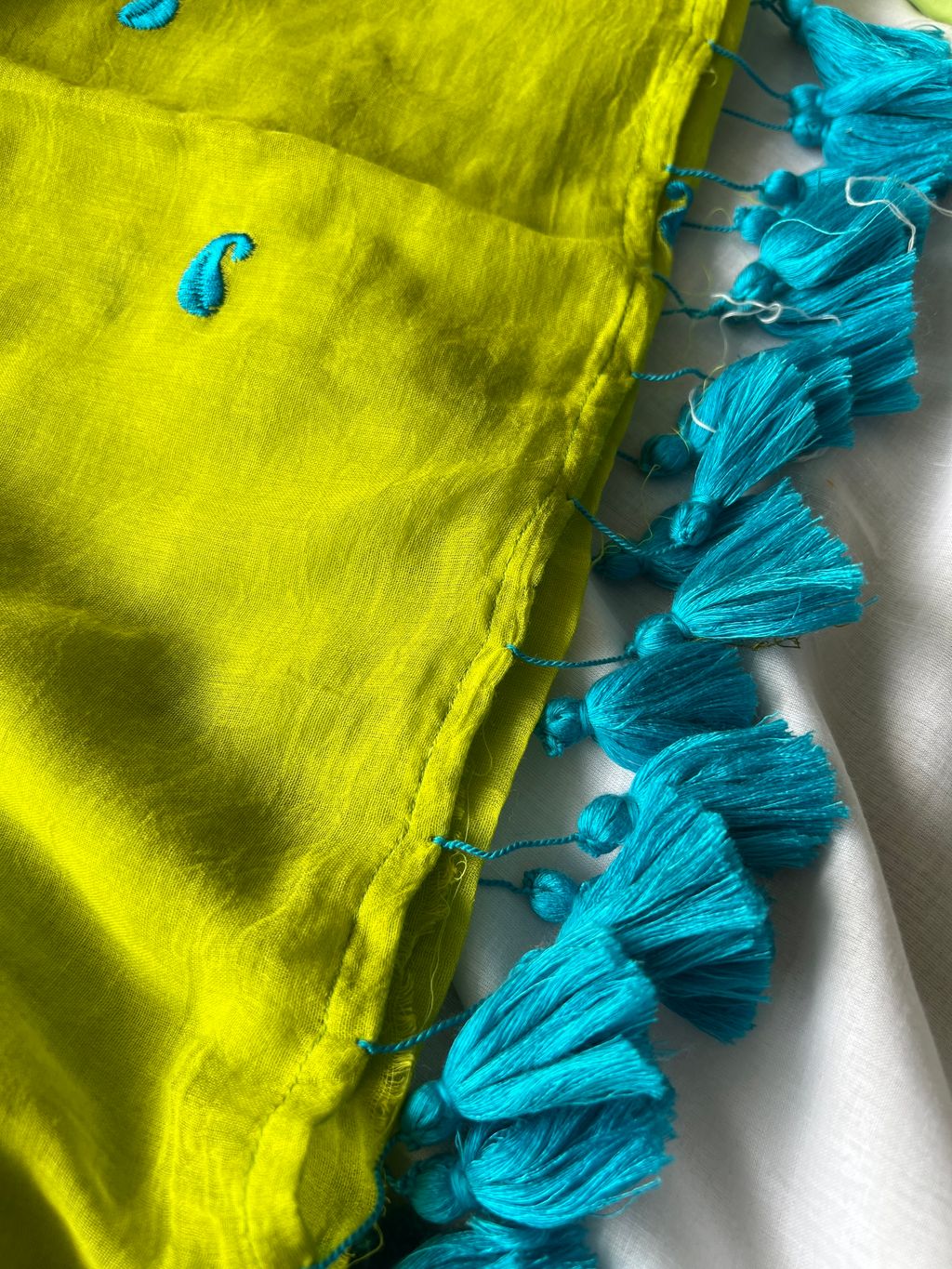 IMG_1943-1736311787316