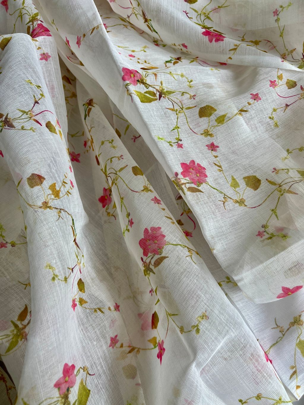 IMG_2526-1736735734384