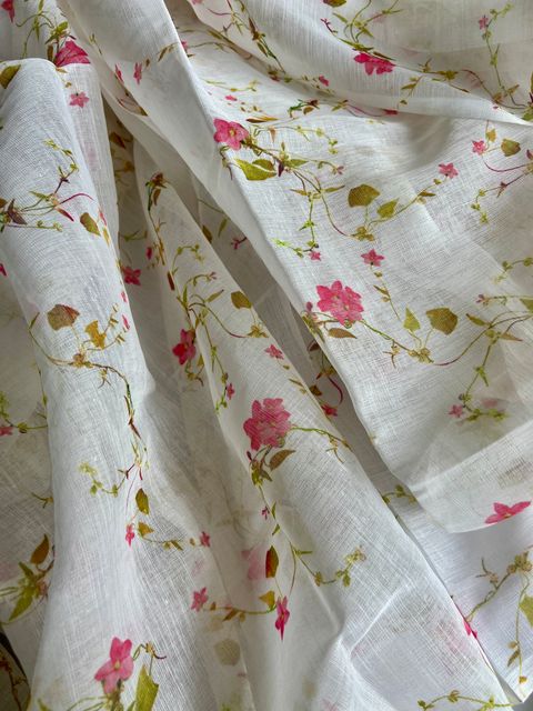 IMG_2526-1736735734384